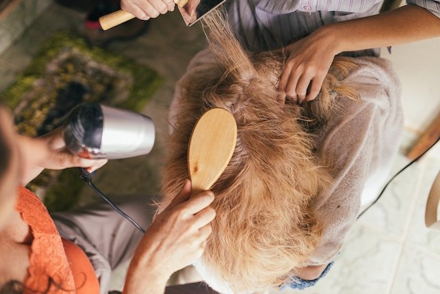 Grooming and Hygiene for Pets: Keeping Your Furry Friends Clean and Healthy