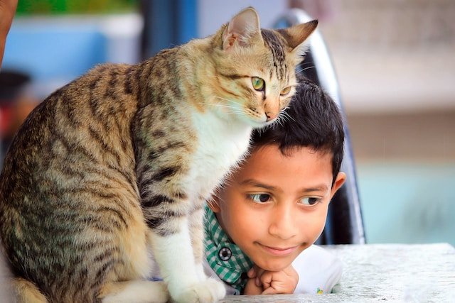 Methods: Building a Strong Bond with Your Pet