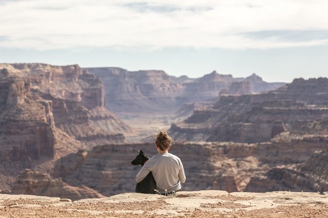 Traveling with Pets: Tips and Considerations for a Safe and Enjoyable Journey